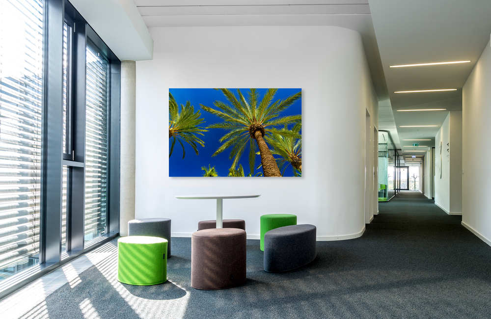 mallorca palmen 4 &ndash; Akustikbilder und Schallabsorber von SCHALLSAUGER&reg;