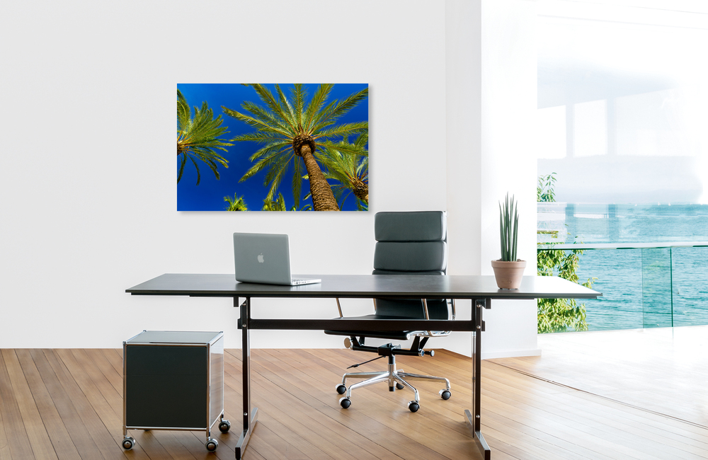 mallorca palmen 4 &ndash; Akustikbilder und Schallabsorber von SCHALLSAUGER&reg;