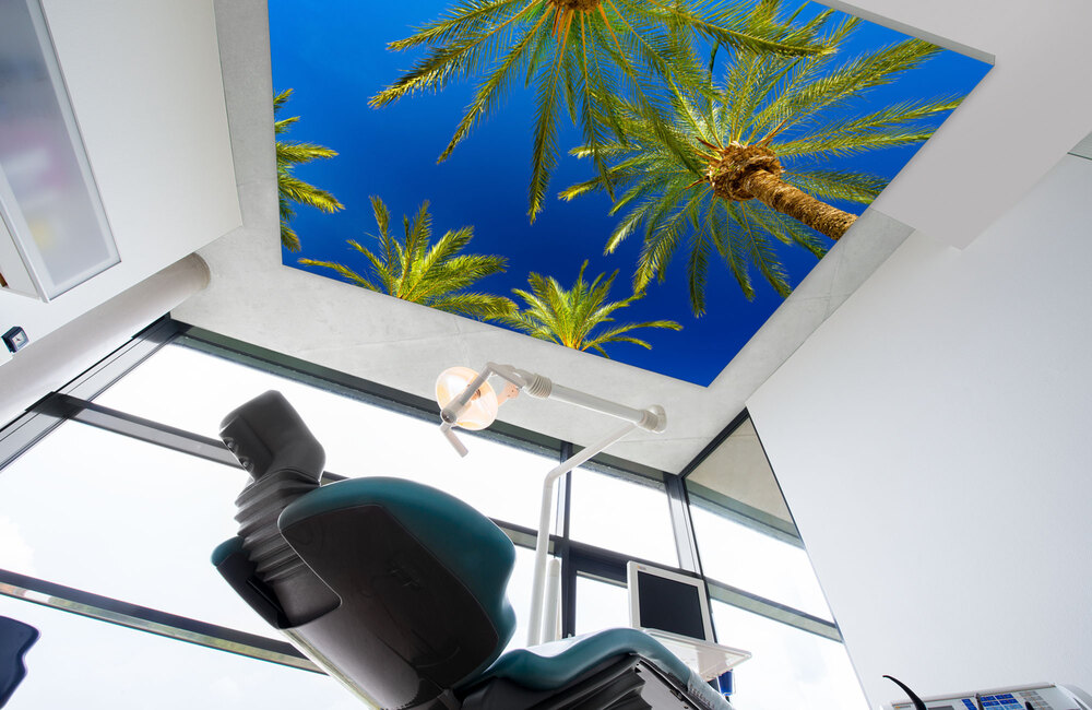 mallorca palmen 5 &ndash; Akustikbilder und Schallabsorber von SCHALLSAUGER&reg;