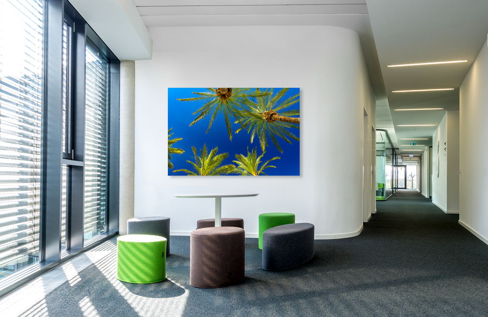 mallorca palmen 5 &ndash; Akustikbilder und Schallabsorber von SCHALLSAUGER&reg;