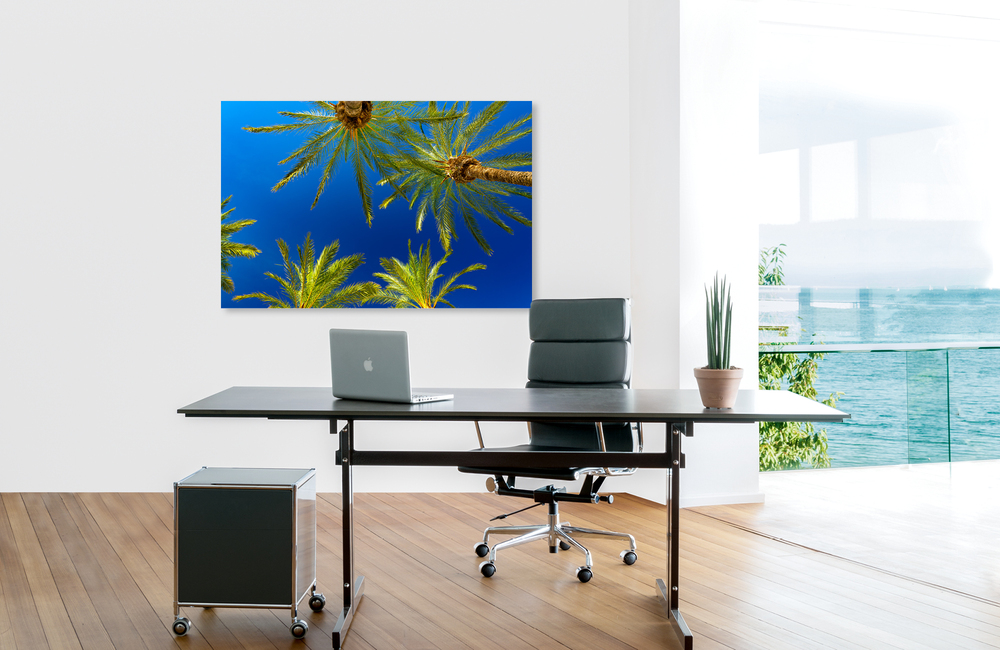 mallorca palmen 5 &ndash; Akustikbilder und Schallabsorber von SCHALLSAUGER&reg;