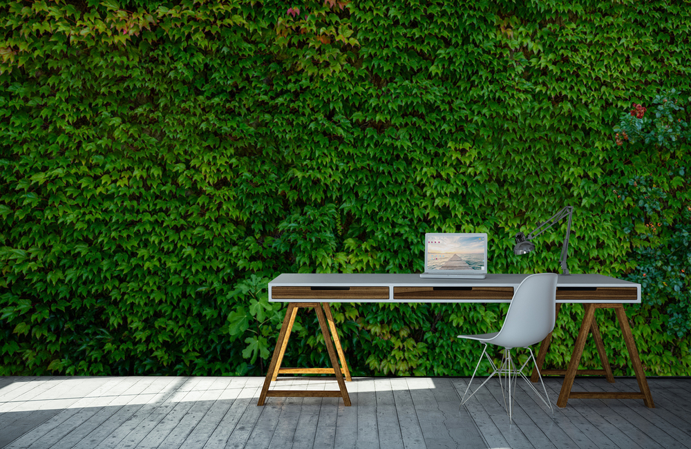 efeuwand &ndash; Akustikbilder und Schallabsorber von SCHALLSAUGER&reg;