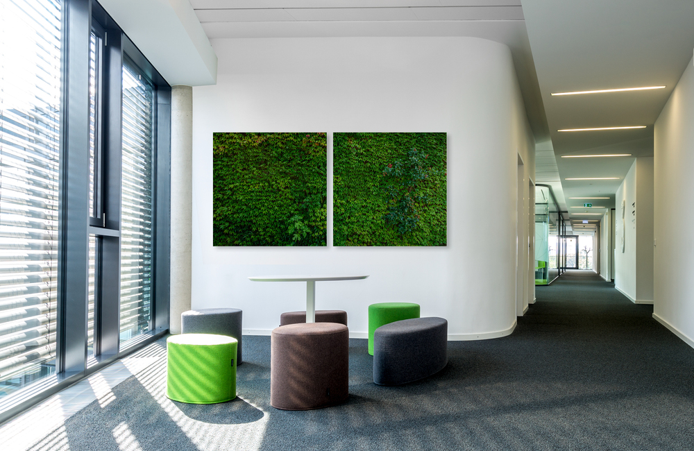 efeuwand &ndash; Akustikbilder und Schallabsorber von SCHALLSAUGER&reg;