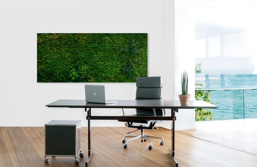 efeuwand &ndash; Akustikbilder und Schallabsorber von SCHALLSAUGER&reg;