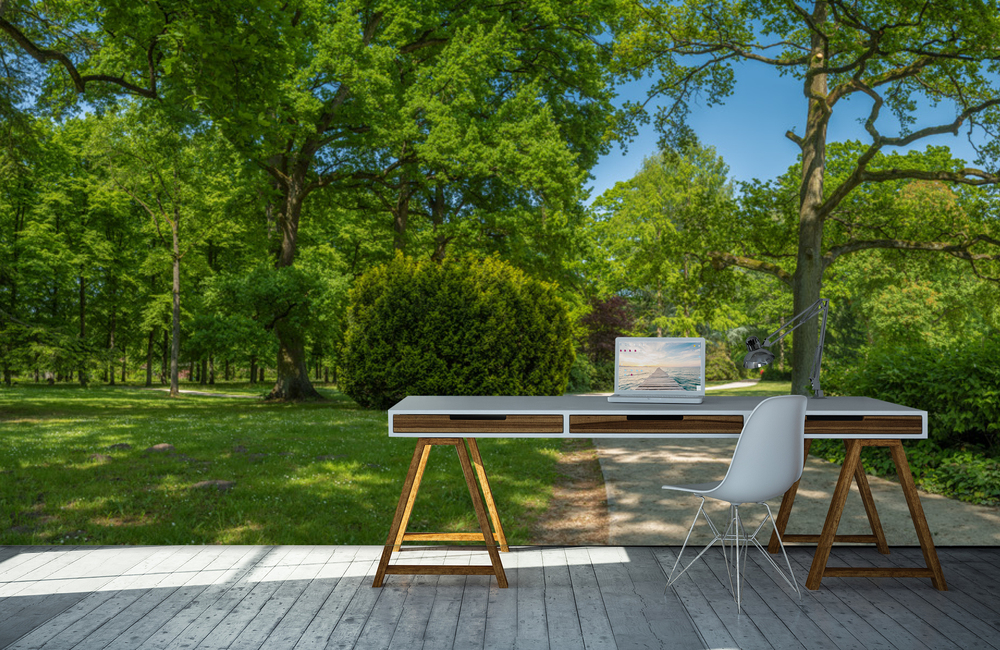 celle stadtpark &ndash; Akustikbilder und Schallabsorber von SCHALLSAUGER&reg;