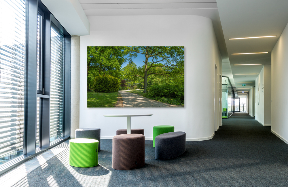 celle stadtpark &ndash; Akustikbilder und Schallabsorber von SCHALLSAUGER&reg;