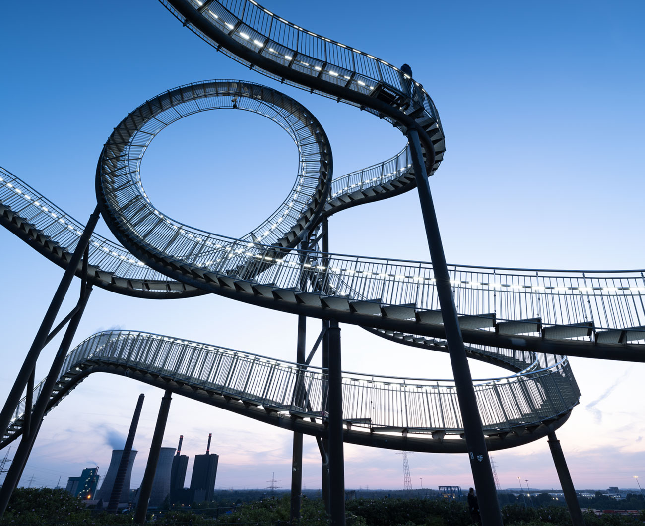 tiger and turtels 3 &ndash; Akustikbilder und Schallabsorber von SCHALLSAUGER&reg;