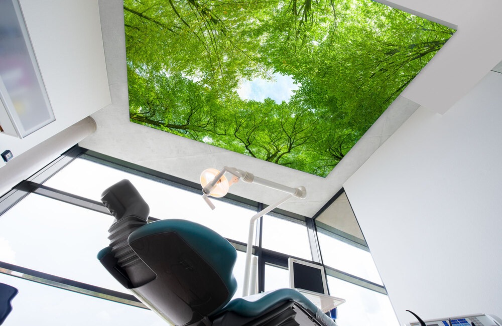 trees &ndash; Akustikbilder und Schallabsorber von SCHALLSAUGER&reg;