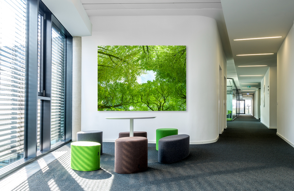 trees &ndash; Akustikbilder und Schallabsorber von SCHALLSAUGER&reg;
