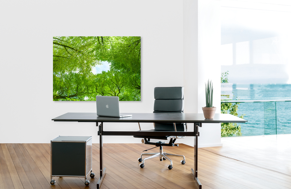 trees &ndash; Akustikbilder und Schallabsorber von SCHALLSAUGER&reg;