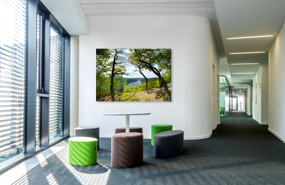 edersee &ndash; Akustikbilder und Schallabsorber von SCHALLSAUGER&reg;