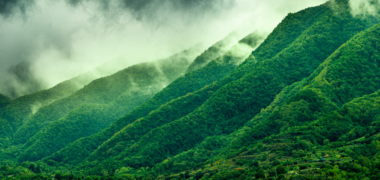 la palma passatwolke