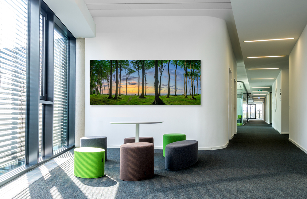 gespenster wald &ndash; Akustikbilder und Schallabsorber von SCHALLSAUGER&reg;