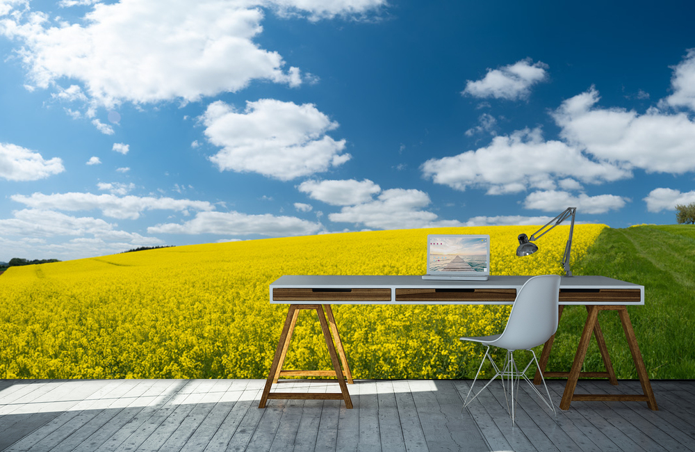 rapsfeld &ndash; Akustikbilder und Schallabsorber von SCHALLSAUGER&reg;