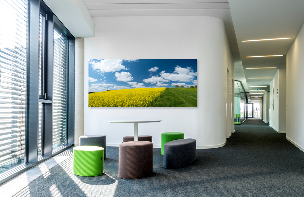 rapsfeld &ndash; Akustikbilder und Schallabsorber von SCHALLSAUGER&reg;