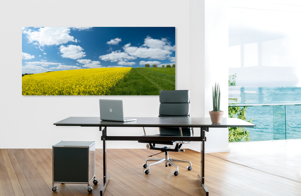 rapsfeld &ndash; Akustikbilder und Schallabsorber von SCHALLSAUGER&reg;