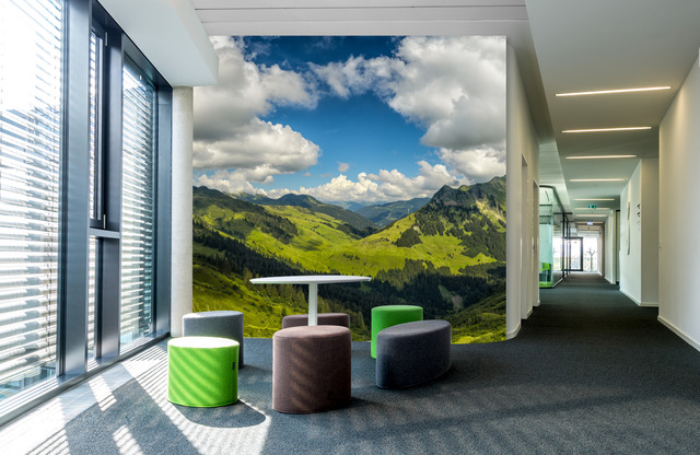 furkajoch &ndash; Akustikbilder und Schallabsorber von SCHALLSAUGER&reg;