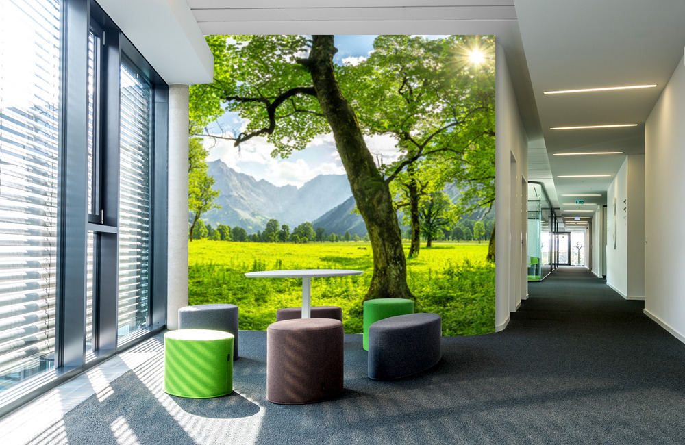 gro&szlig;er ahornboden &ndash; Akustikbilder und Schallabsorber von SCHALLSAUGER&reg;