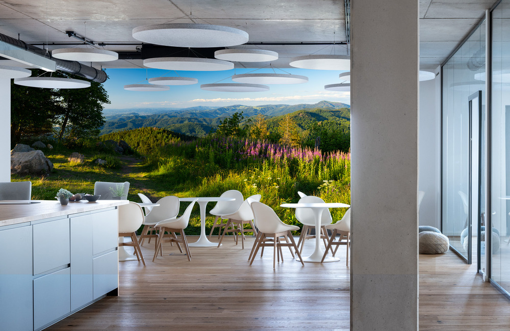 schwarzwald &ndash; Akustikbilder und Schallabsorber von SCHALLSAUGER&reg;