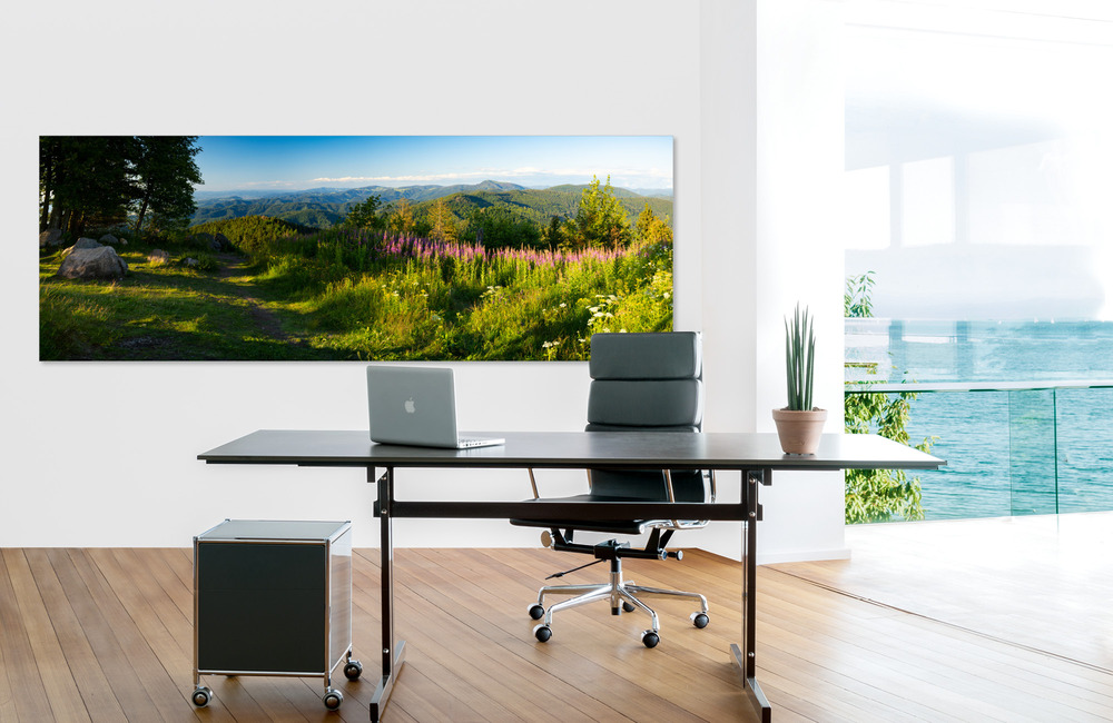 schwarzwald &ndash; Akustikbilder und Schallabsorber von SCHALLSAUGER&reg;