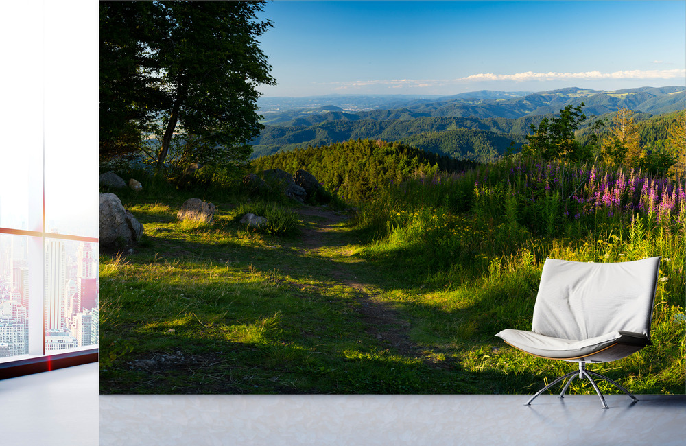 schwarzwald &ndash; Akustikbilder und Schallabsorber von SCHALLSAUGER&reg;