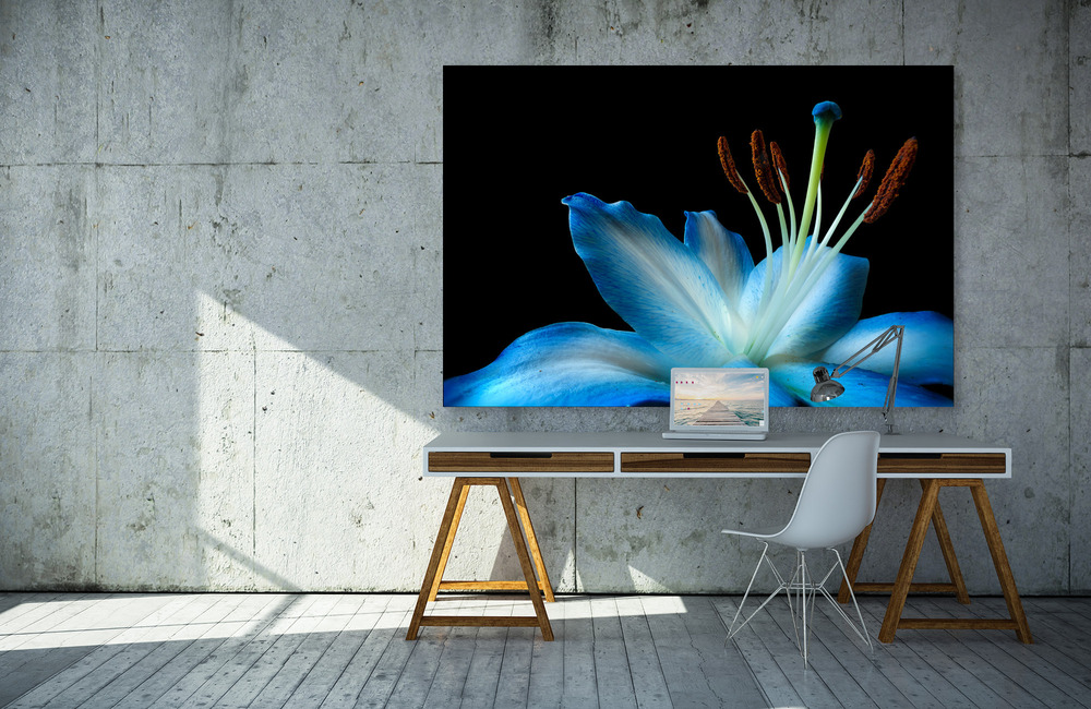 blaue lilie &ndash; Akustikbilder und Schallabsorber von SCHALLSAUGER&reg;