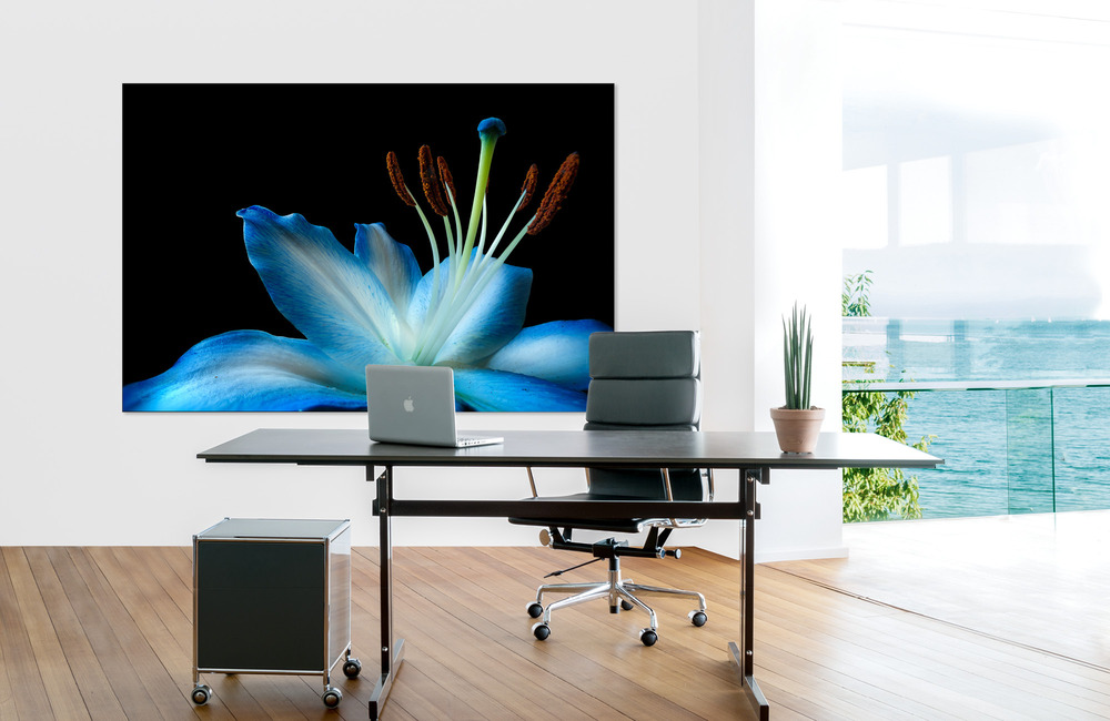 blaue lilie &ndash; Akustikbilder und Schallabsorber von SCHALLSAUGER&reg;