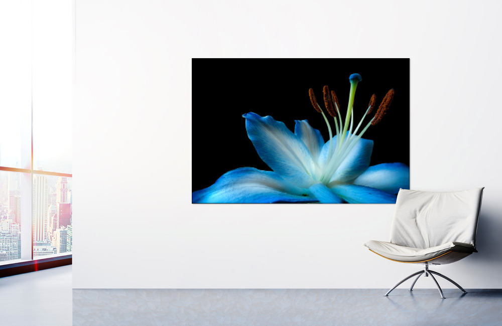 blaue lilie &ndash; Akustikbilder und Schallabsorber von SCHALLSAUGER&reg;