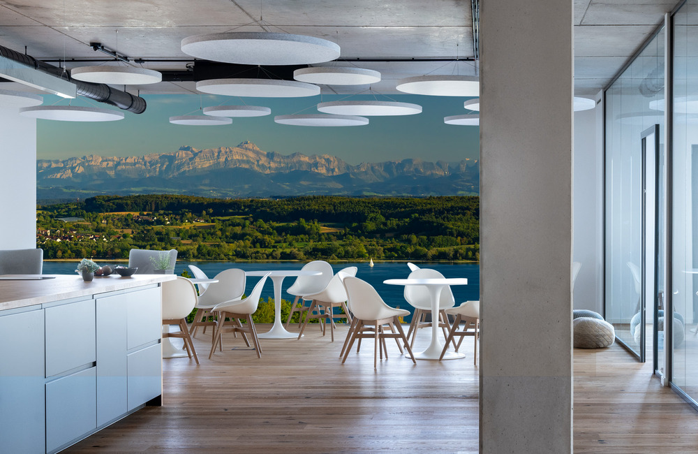 bodensee hödingen &ndash; Akustikbilder und Schallabsorber von SCHALLSAUGER&reg;