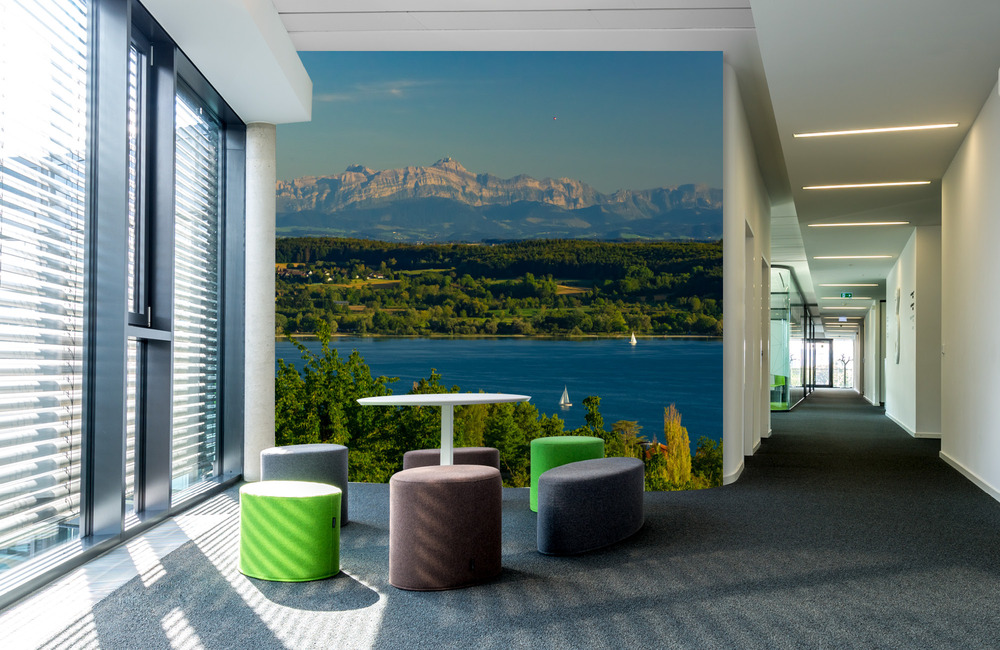 bodensee hödingen &ndash; Akustikbilder und Schallabsorber von SCHALLSAUGER&reg;