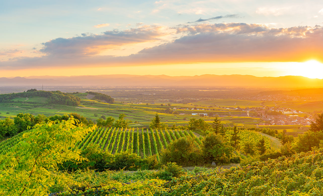kaiserstuhl &ndash; Akustikbilder und Schallabsorber von SCHALLSAUGER&reg;