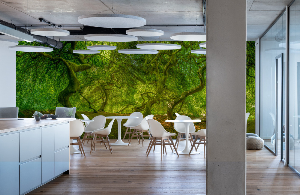 hexenwald &ndash; Akustikbilder und Schallabsorber von SCHALLSAUGER&reg;