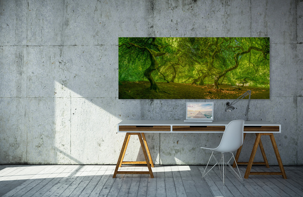 hexenwald &ndash; Akustikbilder und Schallabsorber von SCHALLSAUGER&reg;