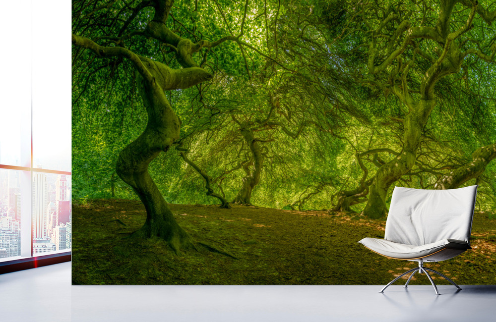 hexenwald &ndash; Akustikbilder und Schallabsorber von SCHALLSAUGER&reg;