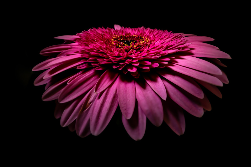 Akustikbilder f&uuml;r frameless