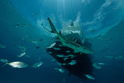 Fotoreisen als hochaufl&ouml;sende Fotos und Motiv