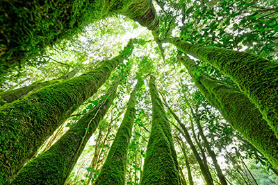 Workplace Living hochaufl&ouml;sende Fotos und Motiv