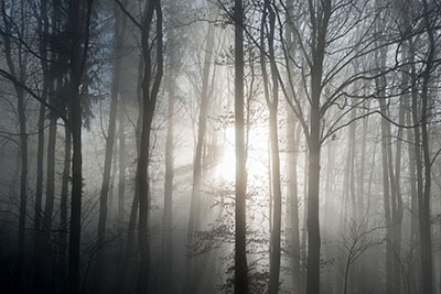 Leise Bilder als hochaufl&ouml;sende Fotos und Motiv