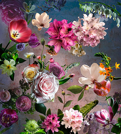 Floral als hochauflösende Fotos und Motiv