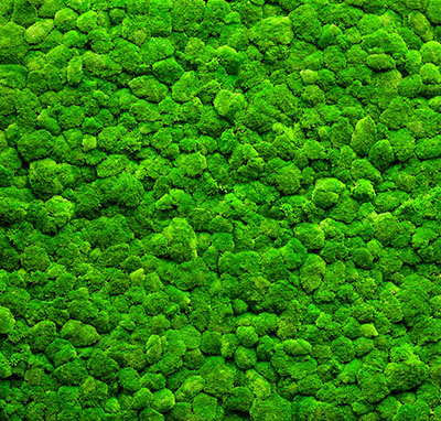 Leise Bilder als hochaufl&ouml;sende Fotos und Motiv