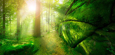 Leise Bilder als hochaufl&ouml;sende Fotos und Motiv