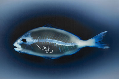 Workplace Living hochaufl&ouml;sende Fotos und Motiv