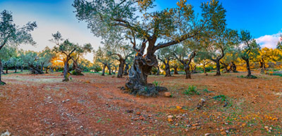 Panorama als hochaufl&ouml;sende Fotos und Motiv