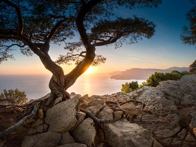 Workplace Living hochaufl&ouml;sende Fotos und Motiv