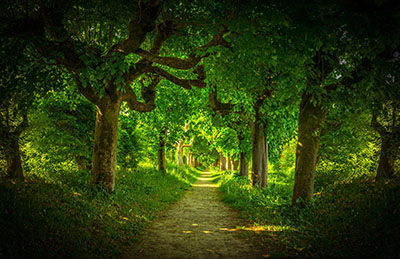 Leise Bilder als hochaufl&ouml;sende Fotos und Motiv