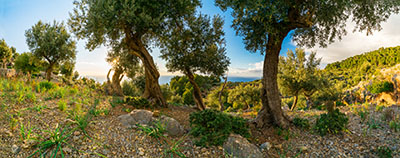 Workplace Living hochaufl&ouml;sende Fotos und Motiv