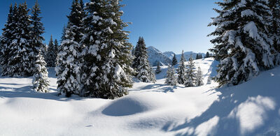 Workplace Living hochaufl&ouml;sende Fotos und Motiv