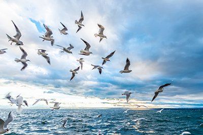 Wasser & Meer als hochaufl&ouml;sende Fotos und Motiv
