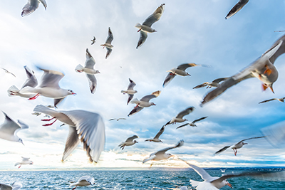 Wasser & Meer als hochaufl&ouml;sende Fotos und Motiv