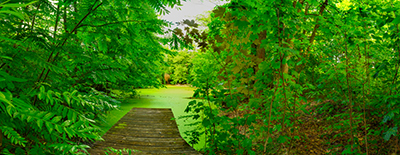 Panorama als hochaufl&ouml;sende Fotos und Motiv